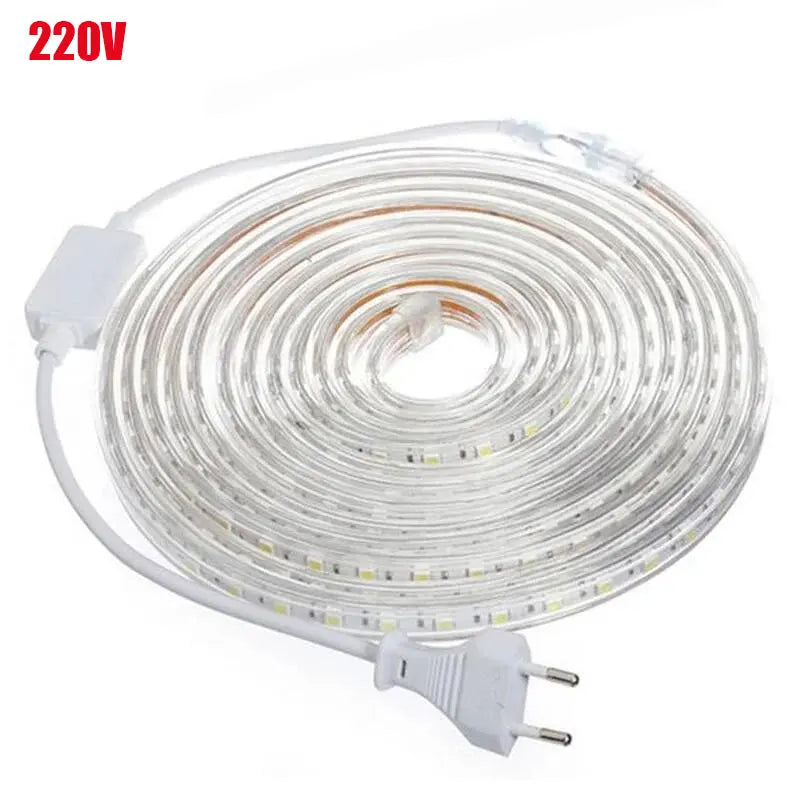 Flexible Led Light