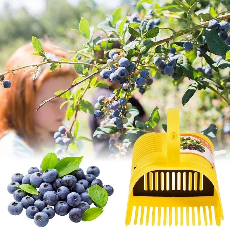 Portable Berry Picker